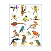 DesignArt „Витална боја на птици платард“ Традиционално врамено платно wallидно уметност печатење