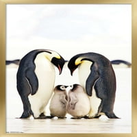 Група Царски Пингвини Ѕид Постер, 14.725 22.375