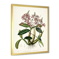 Дизајн на „Антички растителен живот VII“ Традиционално врамен уметнички принт