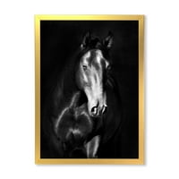 Дизајн Арт „Затвори портрет на црниот Кладруби Коњ“ Фарма куќа Рамка за уметнички принт
