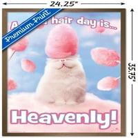 Аванти-Памук Бонбони Мачка Ѕид Постер, 22.375 34