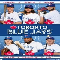 Торонто Блу ​​aysејс - Постери за тим на тимот, 22.375 34